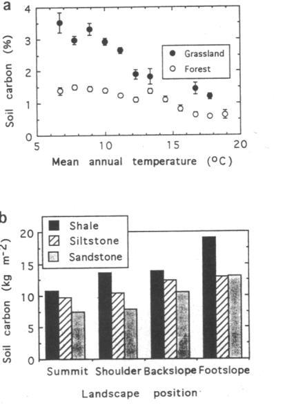 [C] = f ( cl, p ) (Amundson & Jenny 1997)