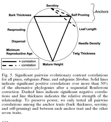 Schwilk & Ackerley 2001