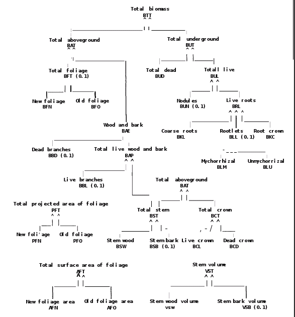 Overview of Allometry Measures