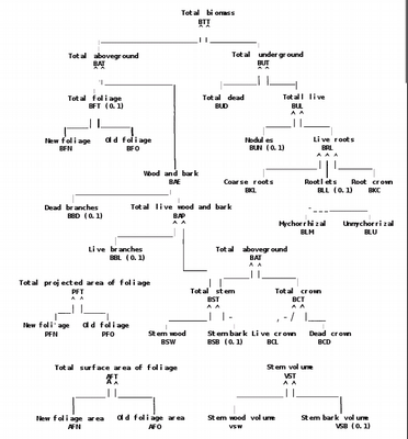 Overview of Allometry Measures