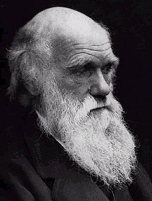 darwin img